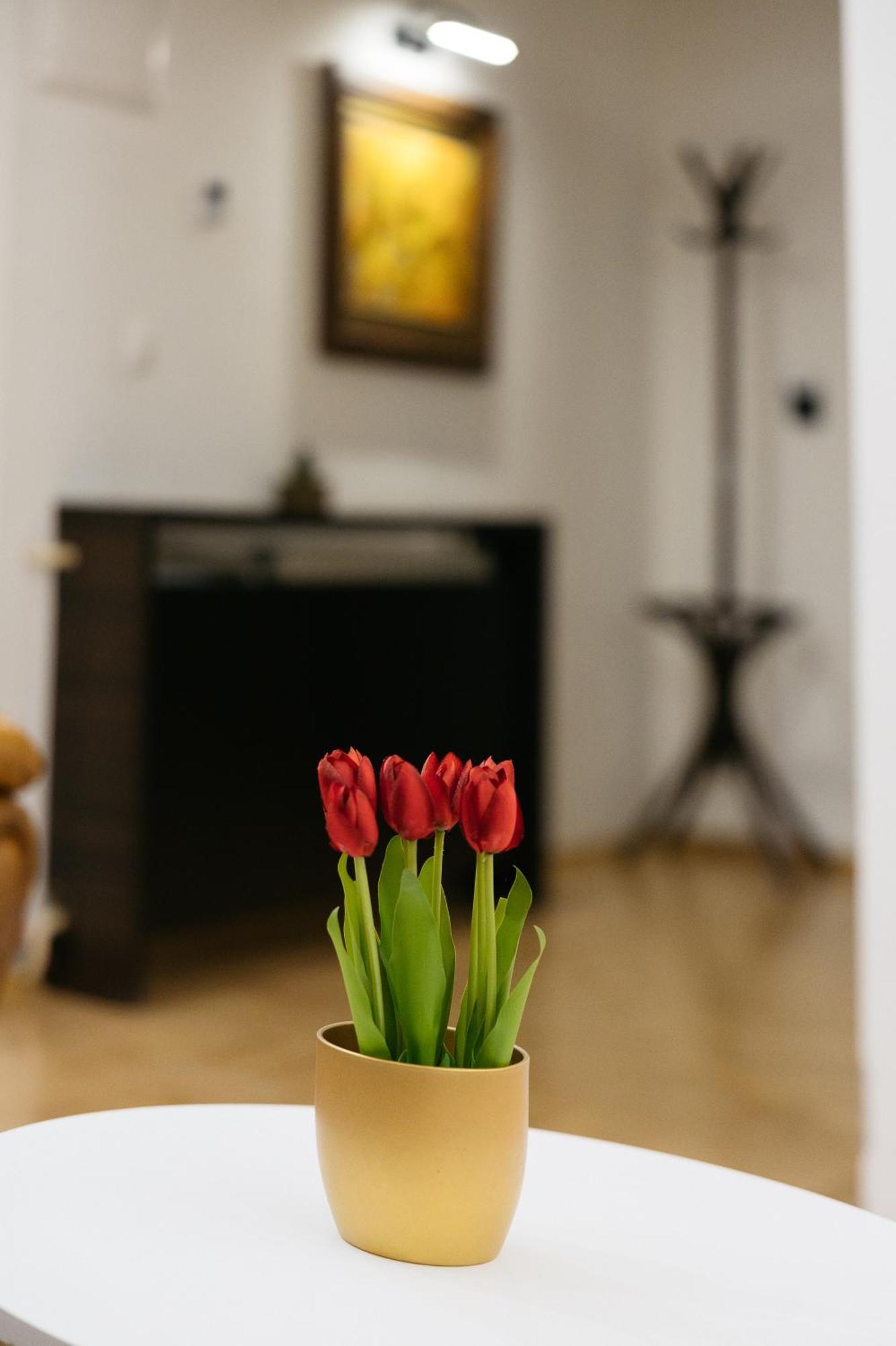 Hotel Gradche Kočani Extérieur photo